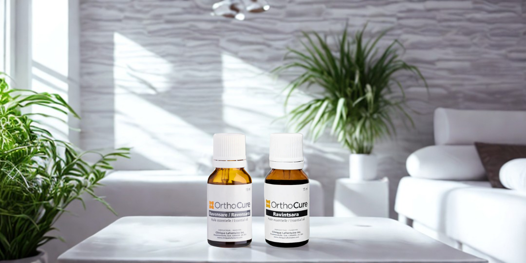 Ravintsara et Ravensare: guide pour ne plus les confondre