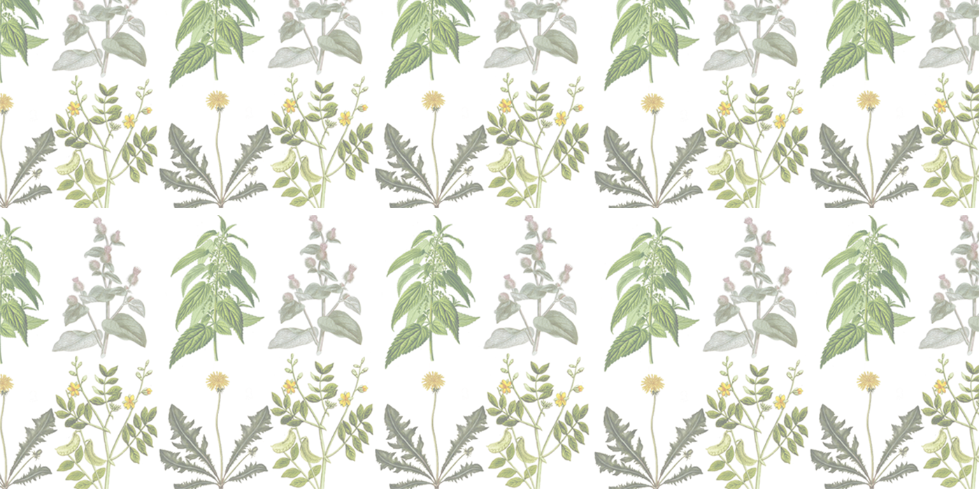 Les ingrédients clés de la DetoxiFit