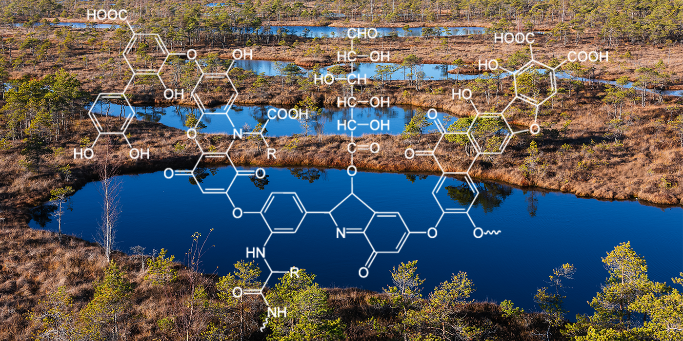 Connaissez-vous les bienfaits des acides humiques?