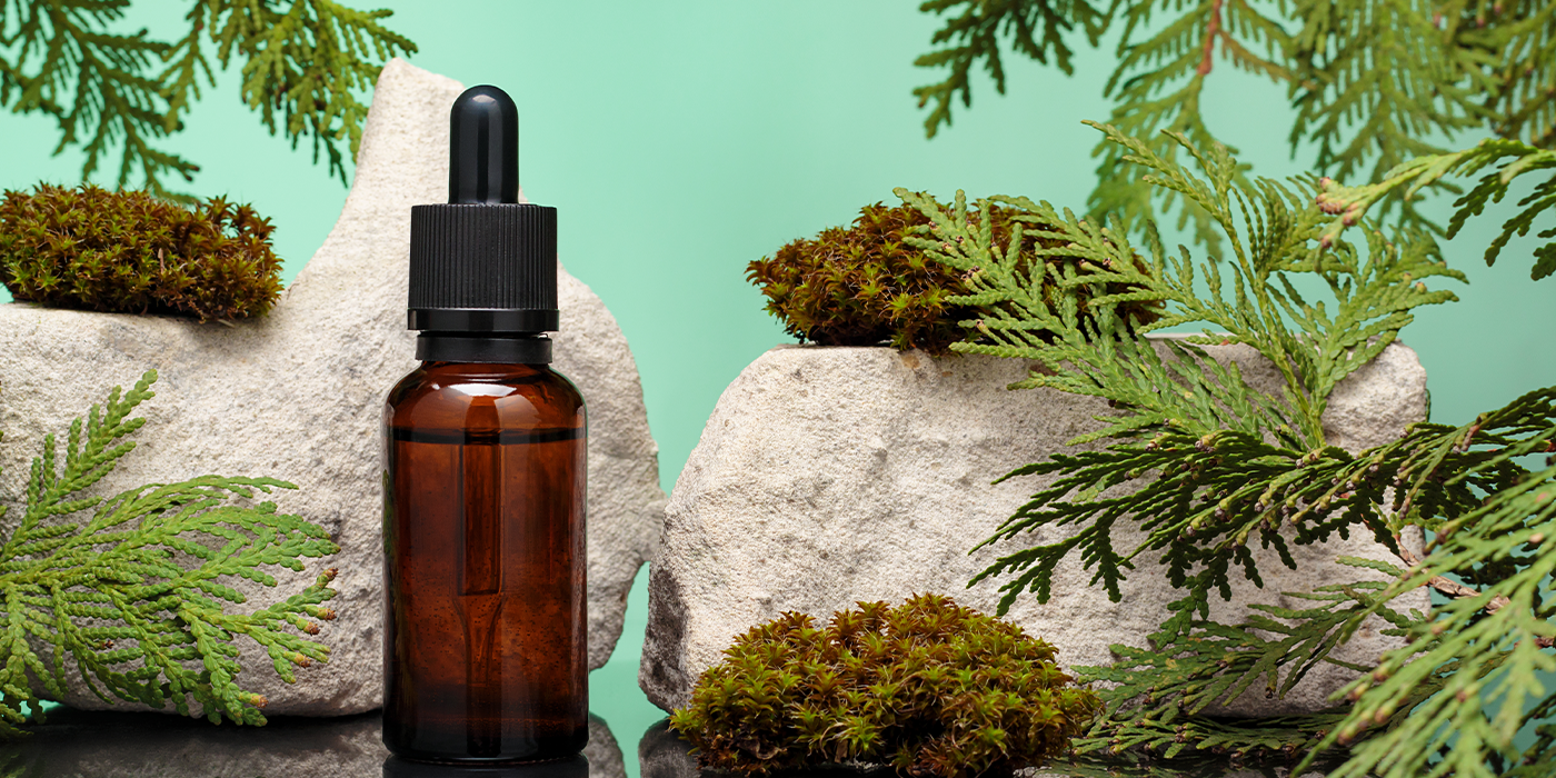 Plongez dans l'émerveillement hivernal avec l'Ensemble d'huiles essentielles Expérience Boréale