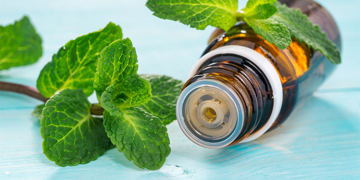 Les bienfaits de l'huile essentielle de menthe poivrée