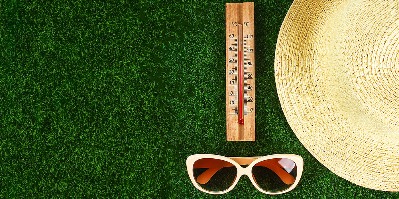 Les huiles essentielles importantes à connaître pour la saison chaude