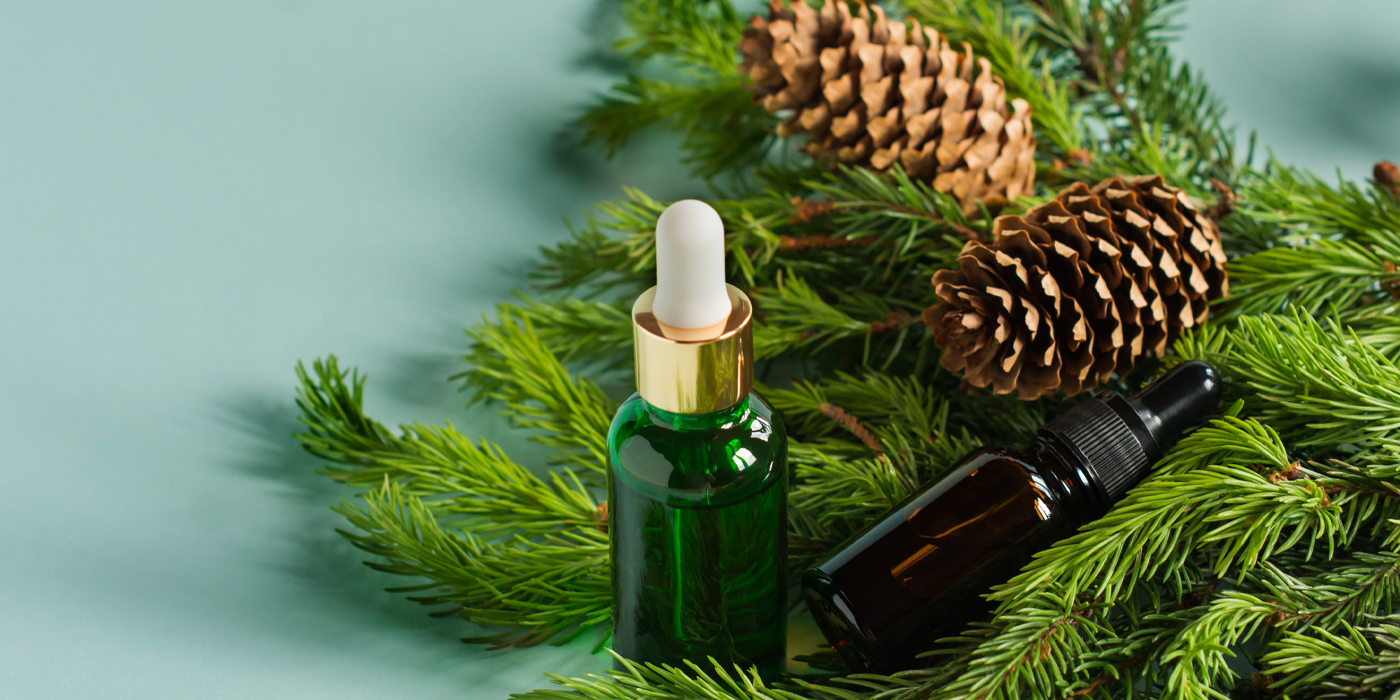 L’huile essentielle de Sapin Baumier