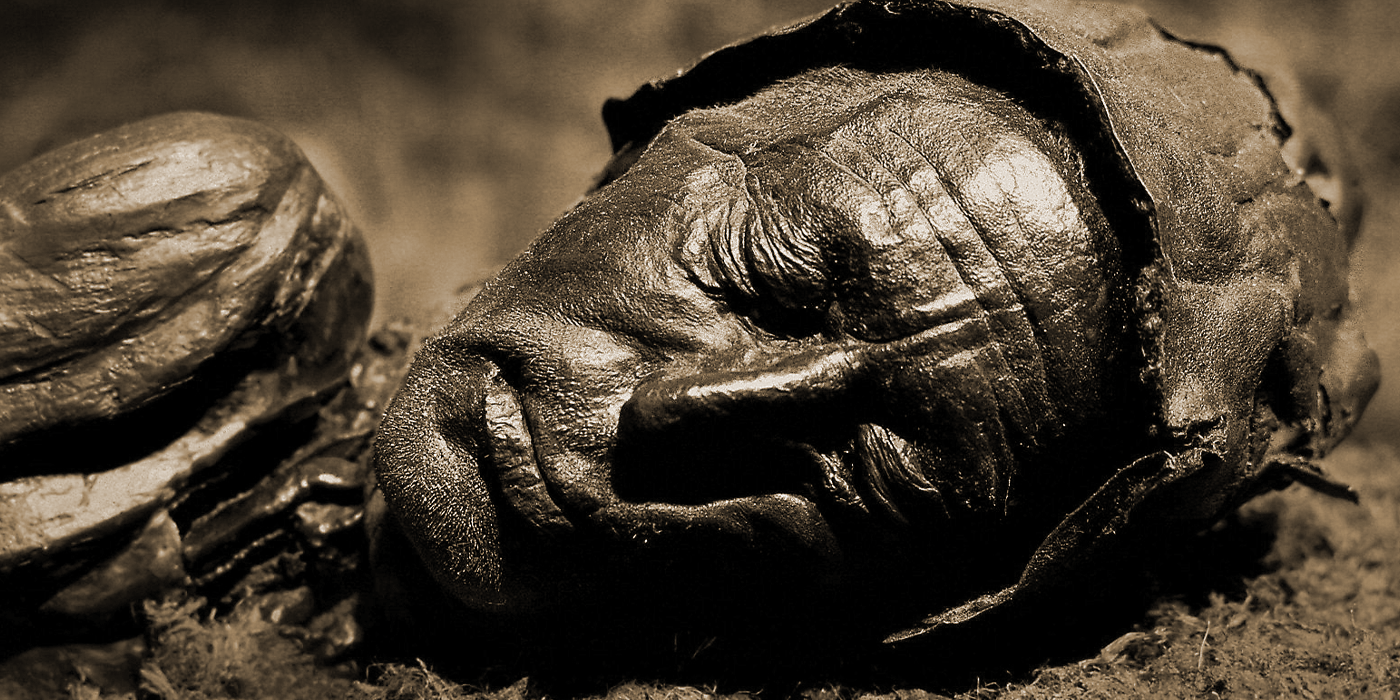 PSST! Le secret de la gamme de soins Bioterra révélé