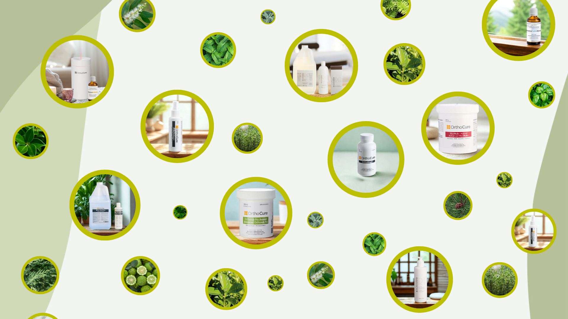 Clinique Lafontaine Inc.