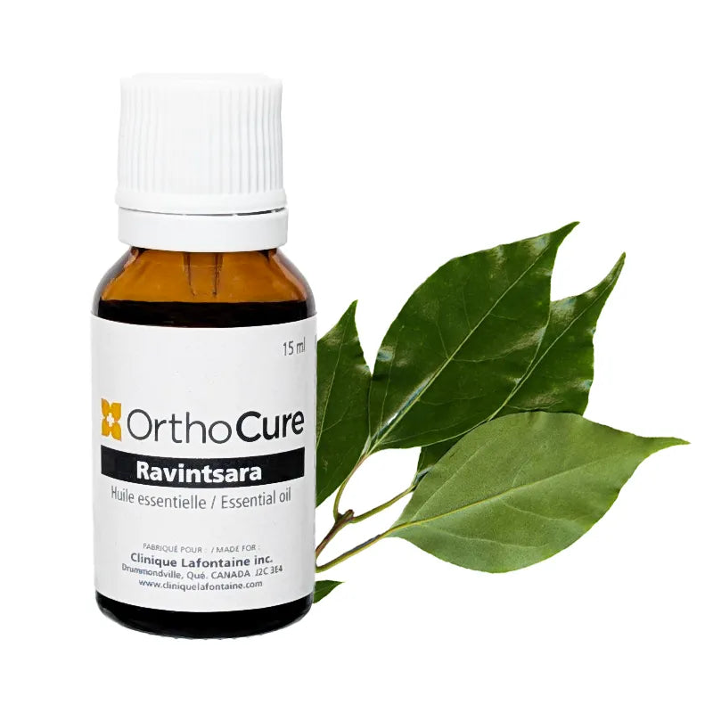 Ravintsara essential oil