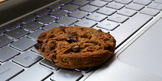 Gestion de votre expérience en ligne par la gestion des témoins (Cookies)