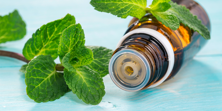 Les bienfaits de l'huile essentielle de menthe poivrée