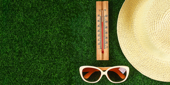 Les huiles essentielles importantes à connaître pour la saison chaude