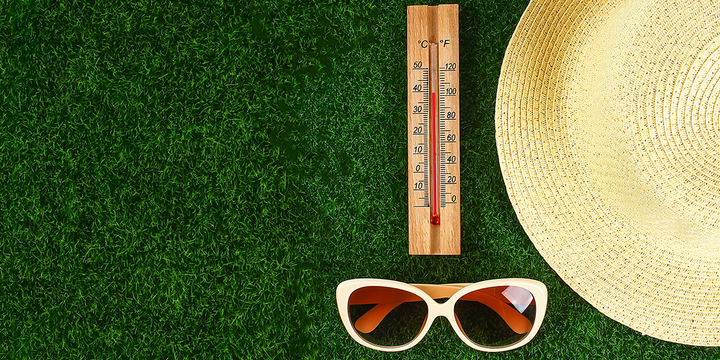 Les huiles essentielles importantes à connaître pour la saison chaude
