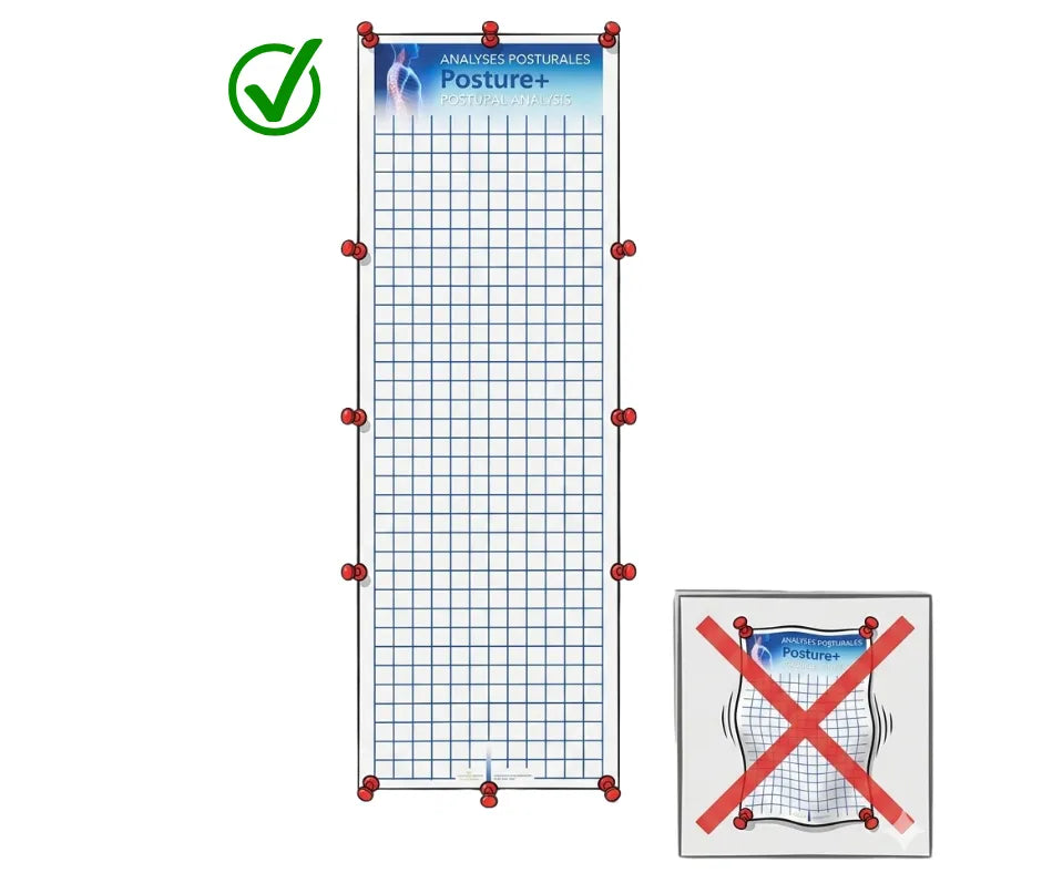 Posture+ Postural Grid