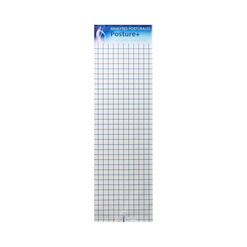Posture+ Postural Grid – Clinique Lafontaine Inc.